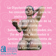 CONCESIÓN SUBVENCIÓN DIPUTACIÓN ALICANTE 