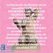 CONCESIÓN DIPUTACIÓN ALICANTE