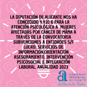 CONCESIÓN DIPUTACIÓN ALICANTE