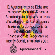 CONCESIÓN AYUNTAMIENTO DE ELCHE