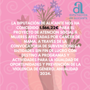 CONCESIÓN DIPUTACIÓN ALICANTE