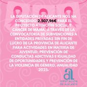 CONCESIÓN DIPUTACIÓN ALICANTE