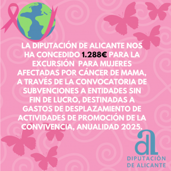 CONCESIÓN DIPUTACIÓN ALICANTE
