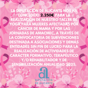 CONCESIÓN DIPUTACIÓN ALICANTE