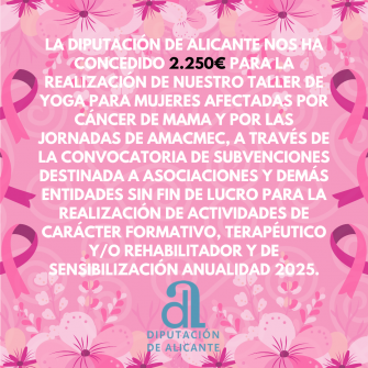 CONCESIÓN DIPUTACIÓN ALICANTE