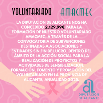 CONCESIÓN DIPUTACIÓN ALICANTE