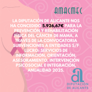 CONCESIÓN DIPUTACIÓN ALICANTE
