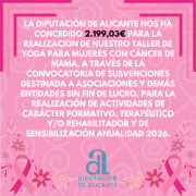 CONCESIÓN DIPUTACIÓN ALICANTE