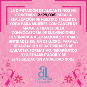 CONCESIÓN DIPUTACIÓN ALICANTE