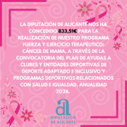 CONCESIÓN DIPUTACIÓN ALICANTE