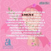 CONCESIÓN DIPUTACIÓN ALICANTE