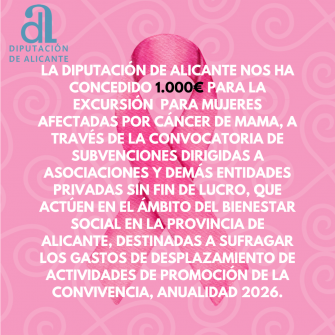 CONCESIÓN DIPUTACIÓN ALICANTE