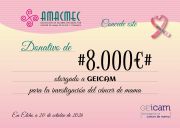 DONACIÓN A GEICAM